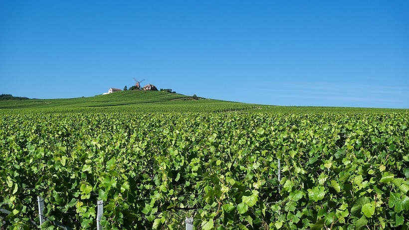 Beleef een vakantie in bruisend Champagne Ardennen