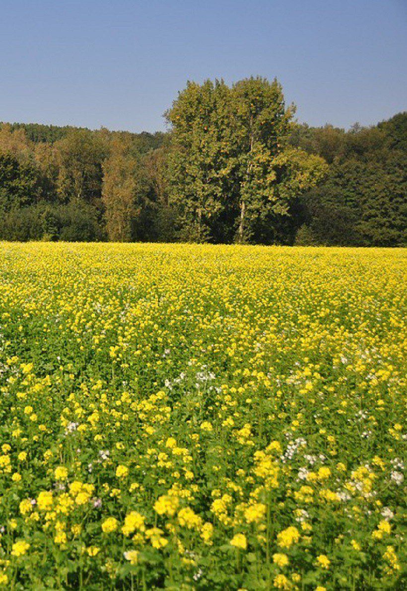 De Luxemburgse Ardennen