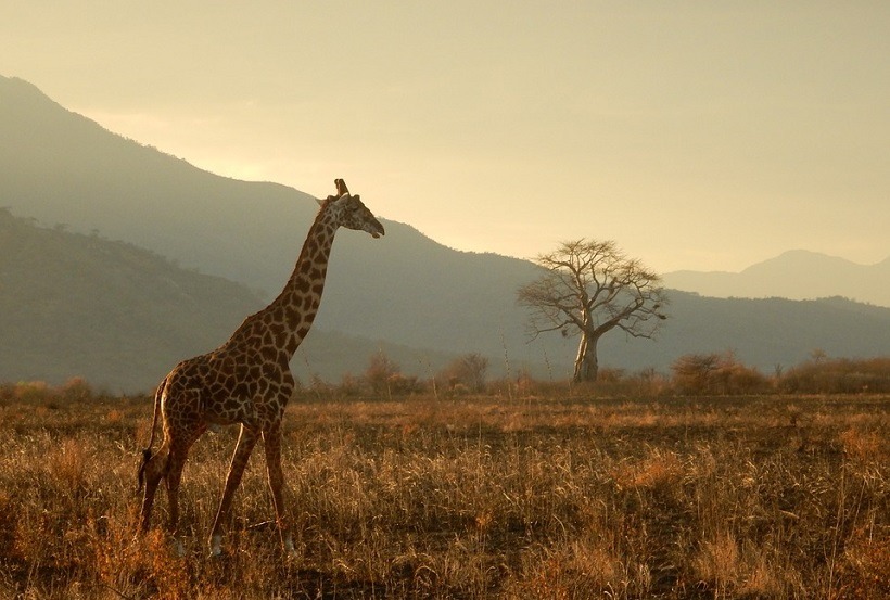 Rondreis door Zuid-Afrika